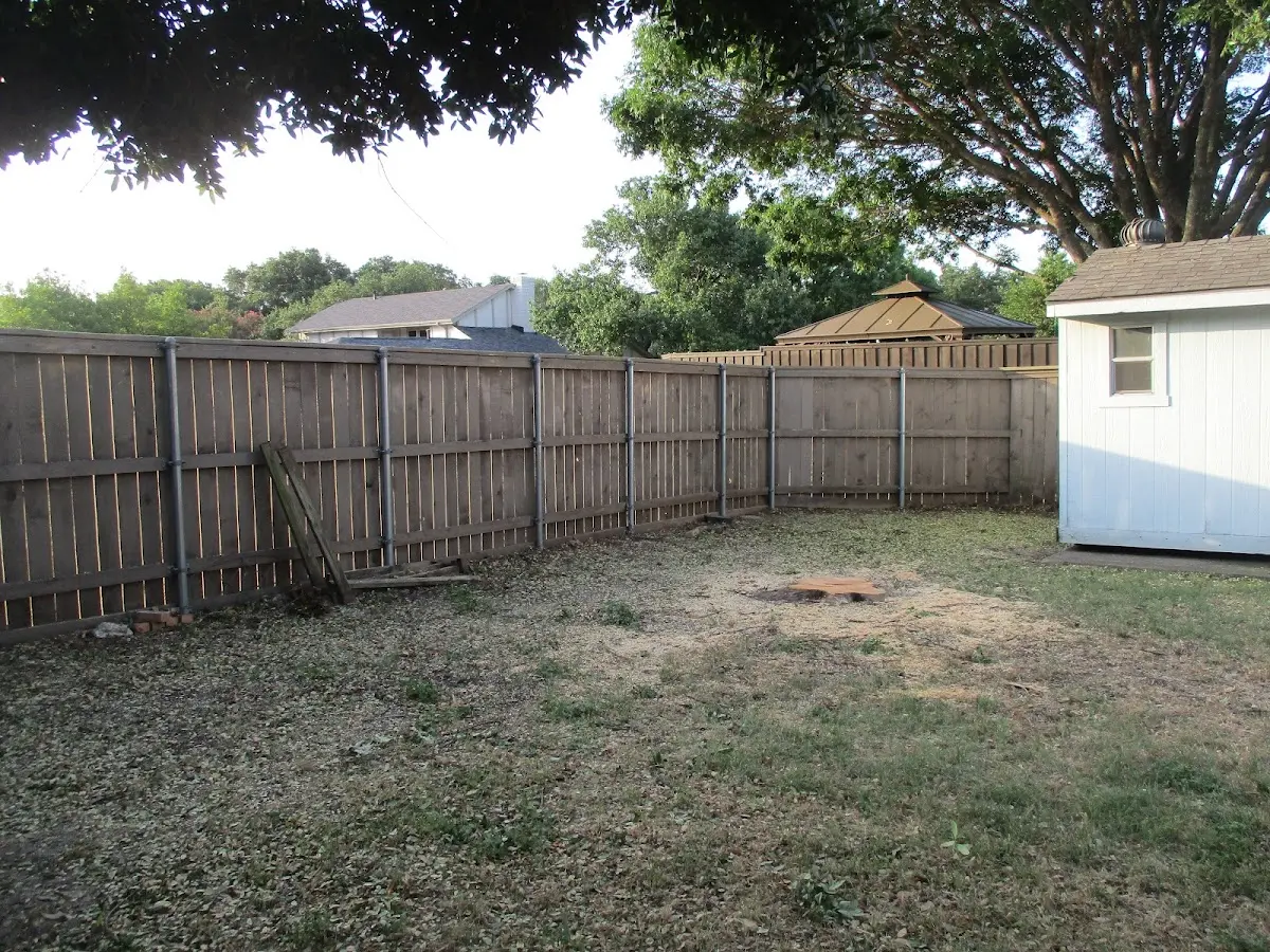 Cleared yard after professional tree removal in Morrisonville