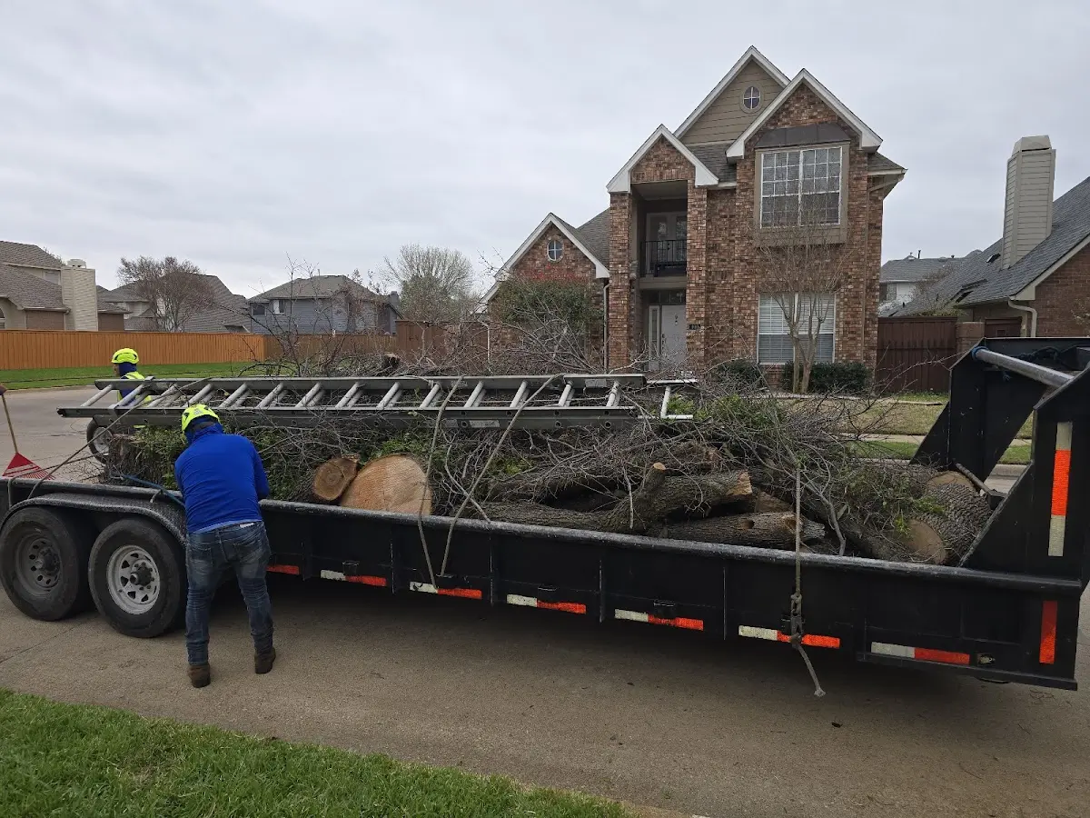 Expert Tree Fertilization with proper safety equipment in Morrisonville